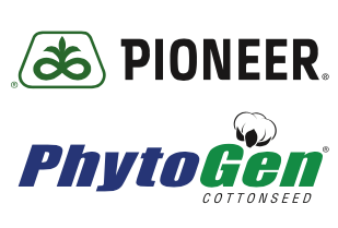 Pioneer and PhytoGen logos