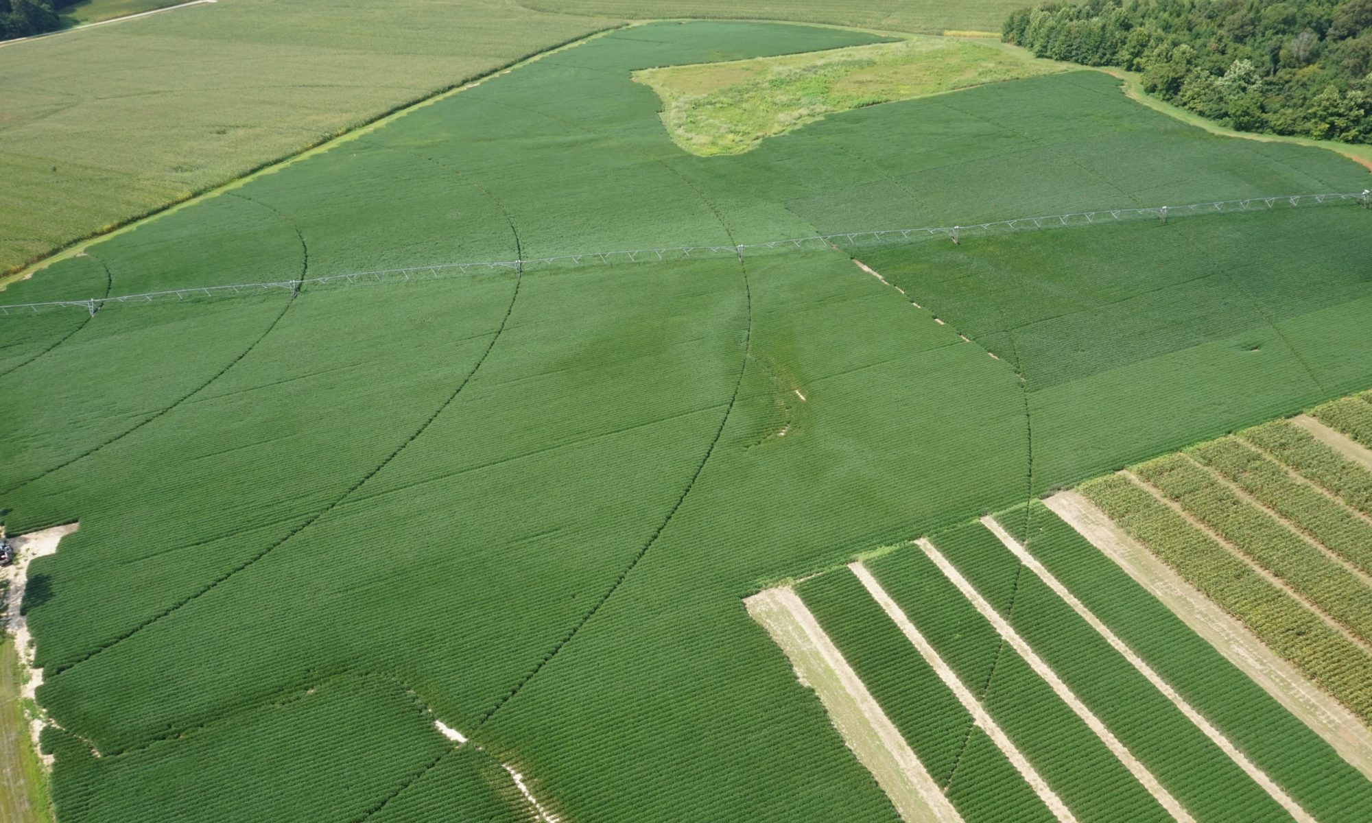 Aerial view of pasture equipped with irrigation system