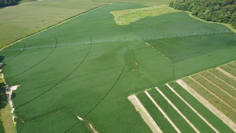 Aerial view of pasture equipped with irrigation system